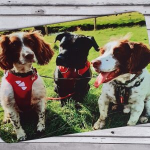 Personalised Placemat printed with your own photo/text